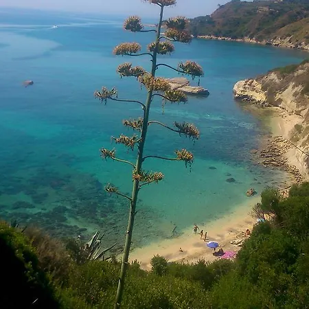 Thanasis Lejlighed *