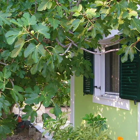 Thanasis Valsamata